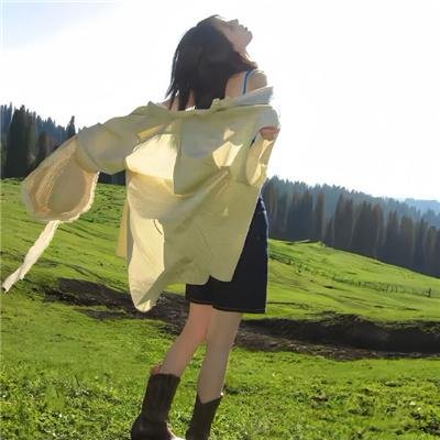 特洛伊艾迪